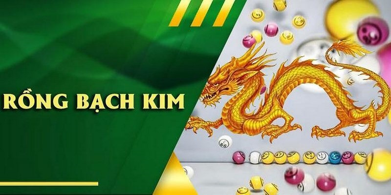 Kinh nghiệm soi cầu rồng bạch kim được các chuyên gia truyền đạt lại tại nhà cái 99ok